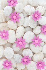 Flowers on white pebbles with white paper background