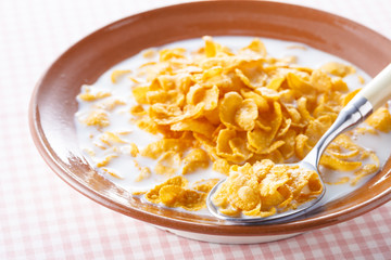 コーンフレーク　Cornflakes　Cereal
