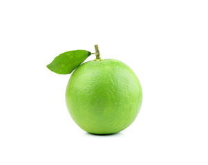 Green orange fruit isolated on white background