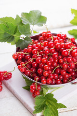 Red currant