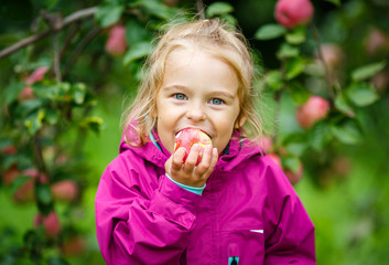 Little girl in the apple garden