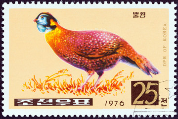 Temminck's Tragopan (North Korea 1976)