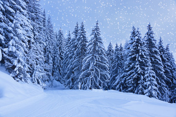 Mountains ski resort Zell-am-See Austria