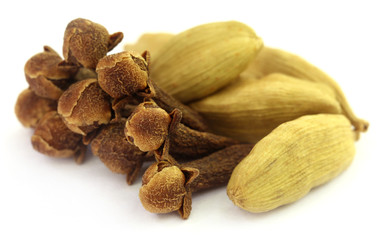 Cardamom seeds with cloves