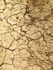 dried ground covered with cracks. background for design