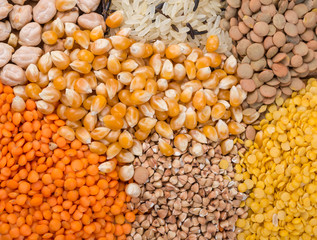 Assorted grains of rice, corns, lentils, buckwheat.