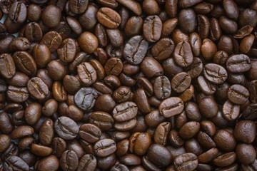 closeup dried coffee bean background
