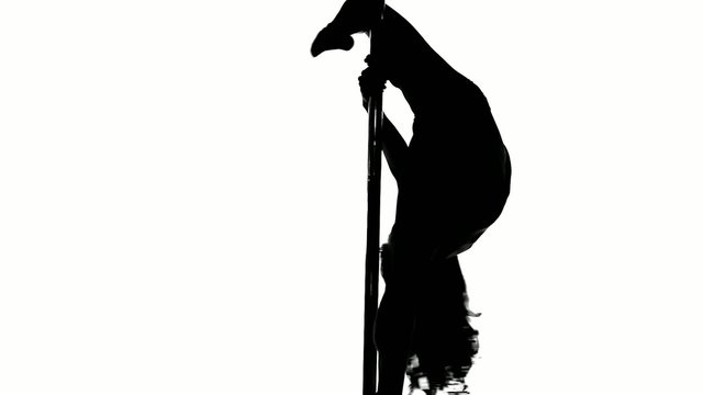 Silhouette of a sexy female pole dancing