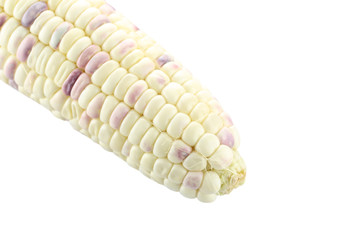 Fresh corn on white.