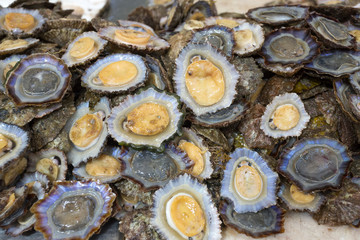 Napfmuscheln auf einem Fischmarkt