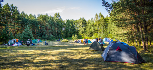 Tents in the tourist camp in a forest glade.