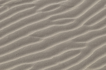 Fototapeta na wymiar Sand wave