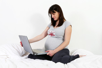 Naklejka premium Pregnant Women and computer