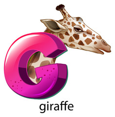 A letter G for giraffe