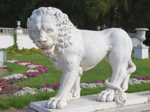Lion sculpture standing
