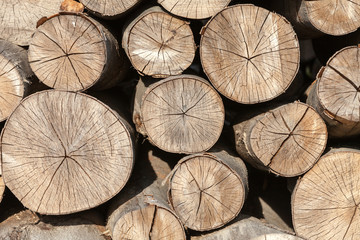 Fototapeta premium Background of firewood stacked in the woodpile