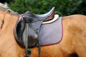 Saddle.