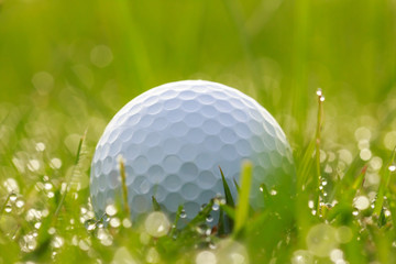 Golf ball on grass with water drops