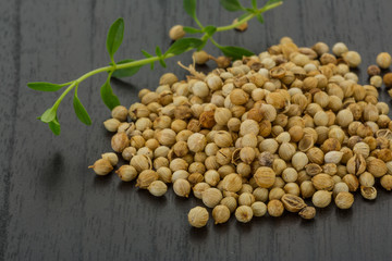 Coriander seeds