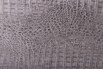 Poster Crocodile skin leather, gray, silver background © Zsolnai Gergely