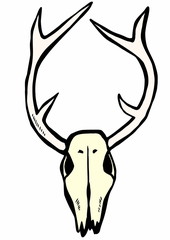 doodle deer skull