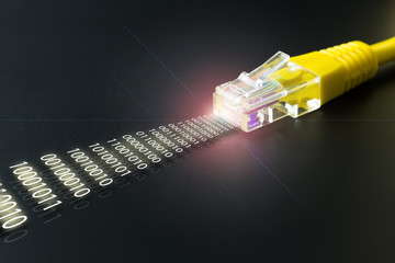 Computer network cable