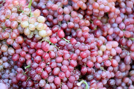 Pile fresh grapes.