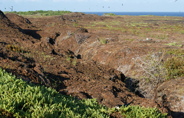 îles des Galapagos