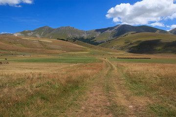 piana di Castelluccio di Norcia - Monti Sibillini