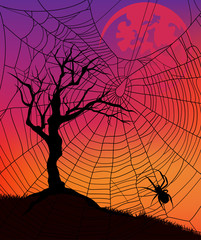 halloween background with tree and spider web