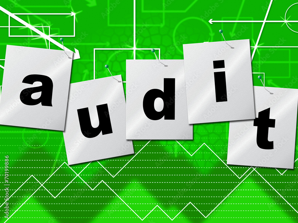 Poster graph audit indicates auditing infograph and scrutiny