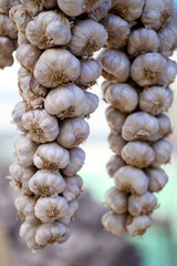 garlic in the fresh market.