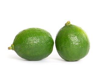 single lime on white background