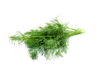 dill isolated on white