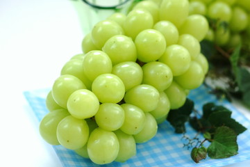 シャインマスカット