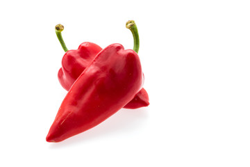 Red chilli isolated on white