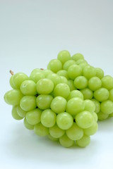 シャインマスカット