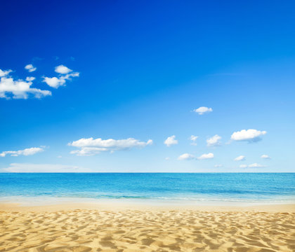 Fototapeta beautiful beach and tropical sea