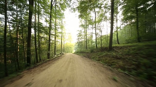 Fahrt im Wald
