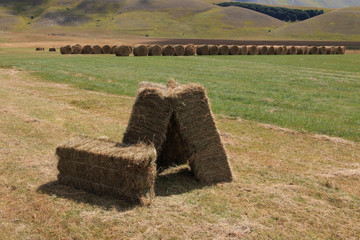 balle di fieno a Castelluccio di Norcia - Monti Sibillini