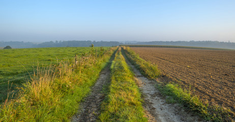 Fototapeta premium Tracks through a meadow at dawn in summer