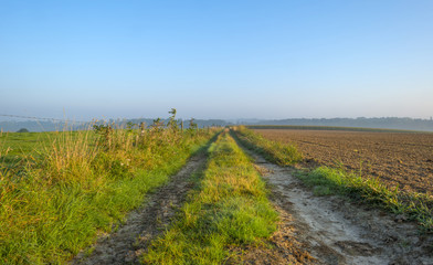 Fototapeta na wymiar Tracks through a meadow at dawn in summer