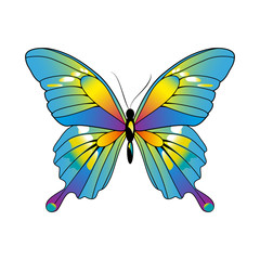 butterflies design