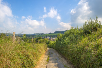 Dirt road through the countryside in summer