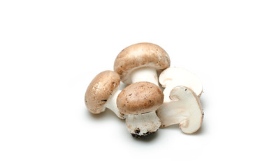 funghi su sfondo bianco