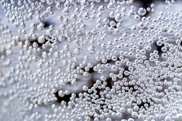 Bollicine d’acqua gasata