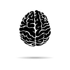 Brain icon. On the white background. Vector illustration.