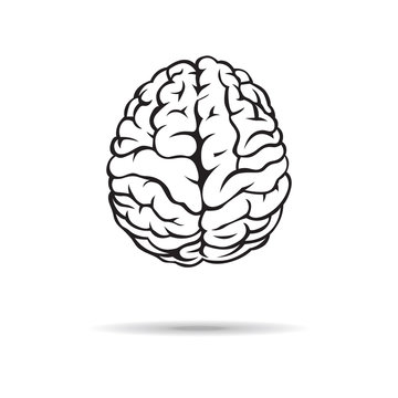 Brain icon. On the white background. Vector illustration.