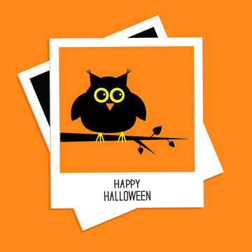 Instant photo with owl. Halloween Flat 