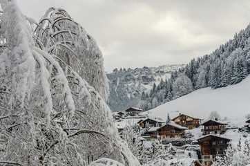 Snowy tree and Morzine vilage chalets